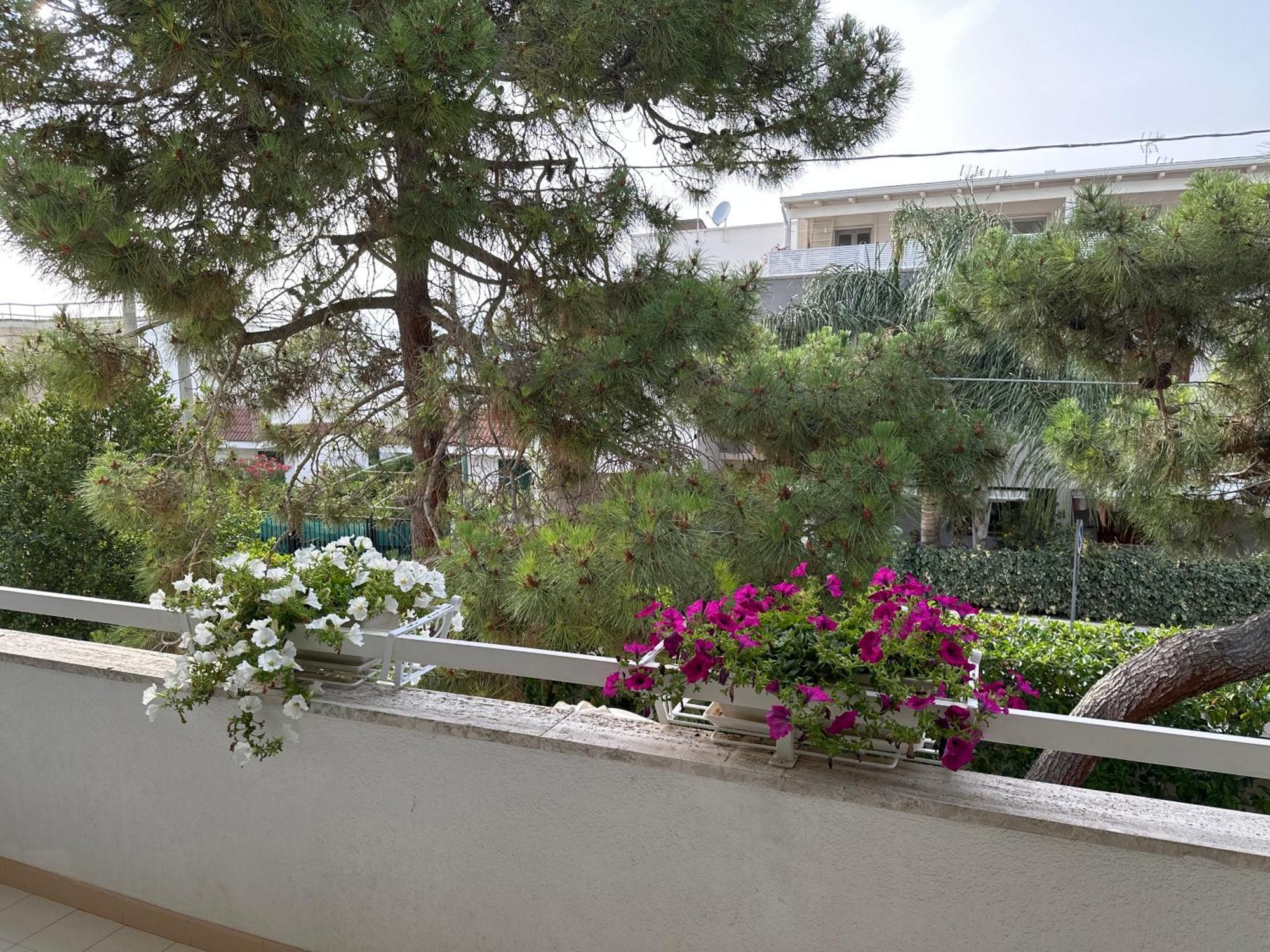 Villa Teresa Maria Porto Cesareo Exterior foto